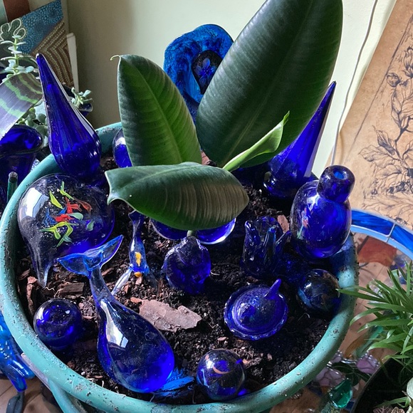 Meet your Posher, Ann - Picture 4 of 17